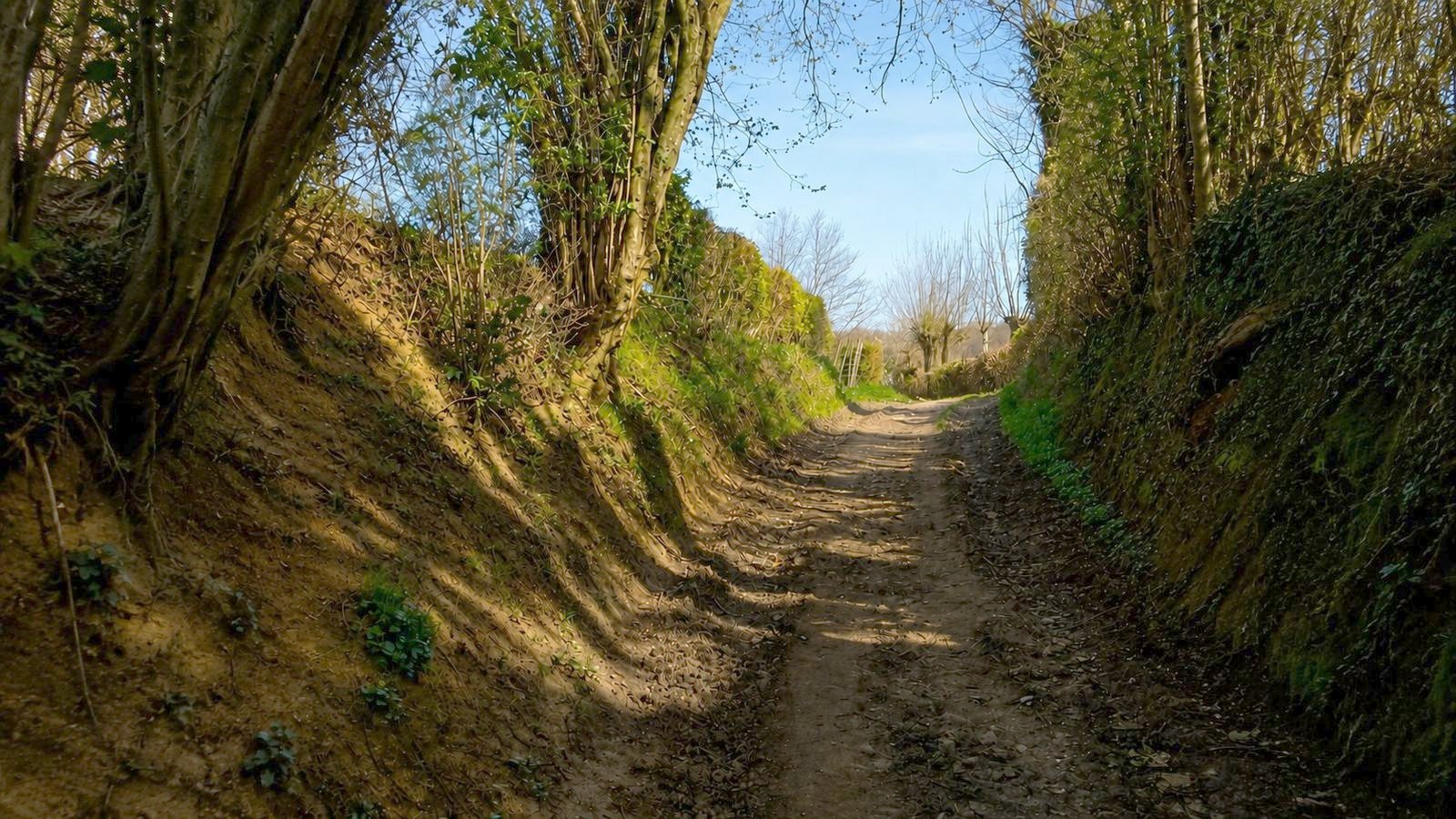 Holle weg in het Limburgse heuvelland, met een wandelaar bovenaan